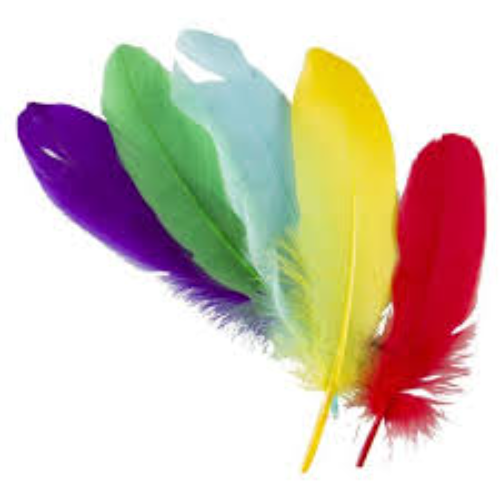 DALA FEATHERS 6CM 50PC
