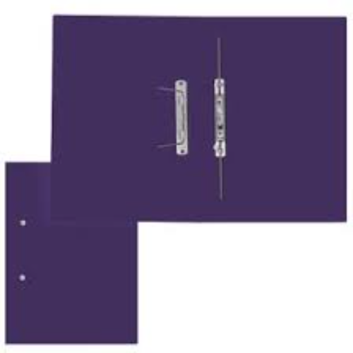 ACCESSIBLE FILES PURPLE 4'S
