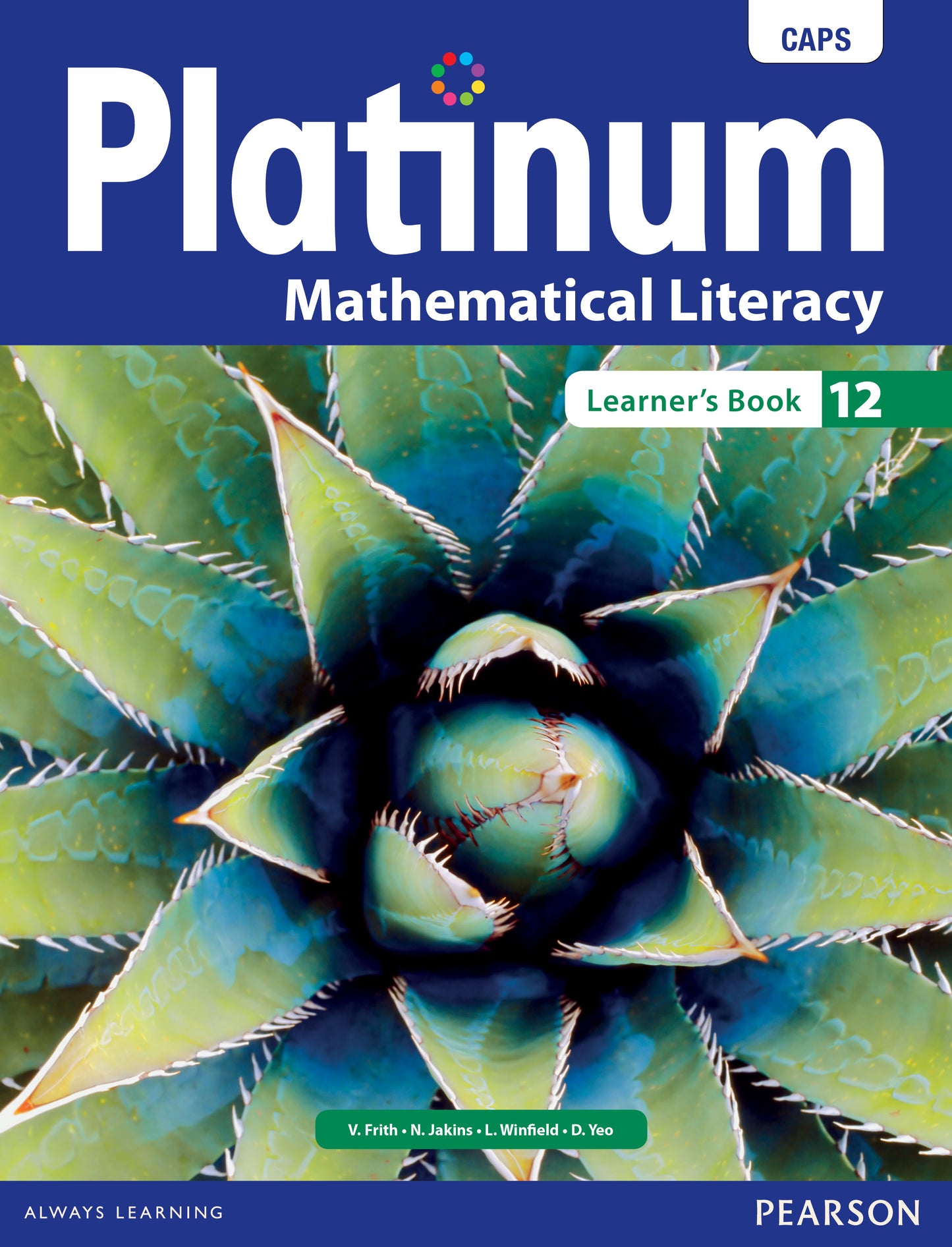 PLATINUM MATHS LITERACY GRADE 12 LB