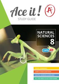 ACE IT NATURAL SCIENCE GRADE 8