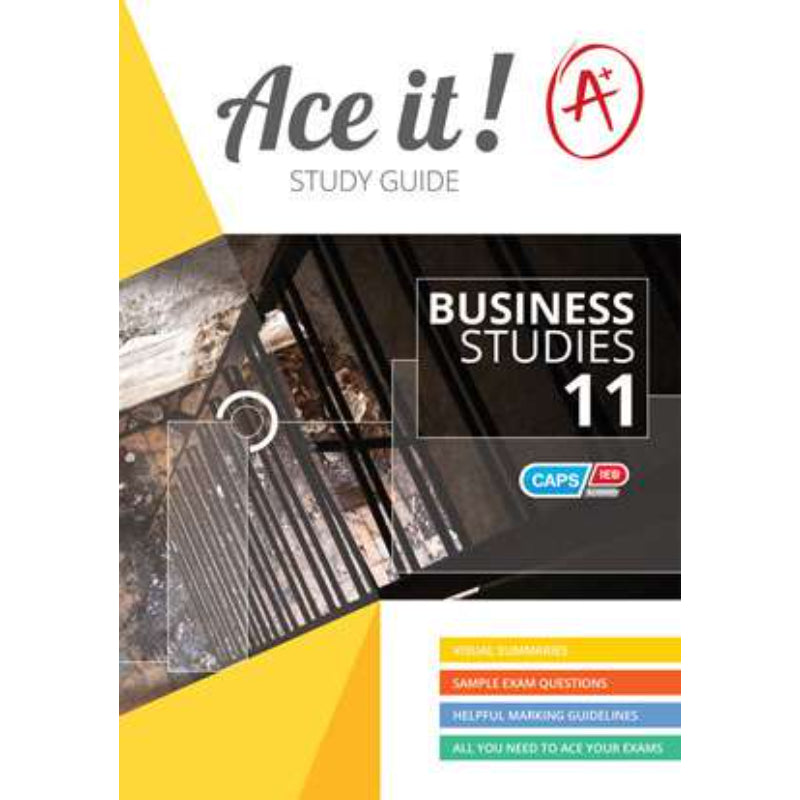 Ace It Business Studies Grade 11 Sg