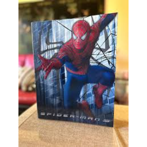 SPIDER MAN RING BINDERS