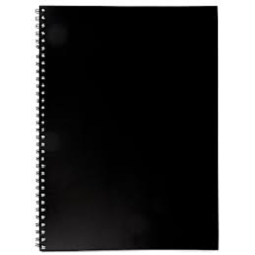 DALA CREATIVE DIARY