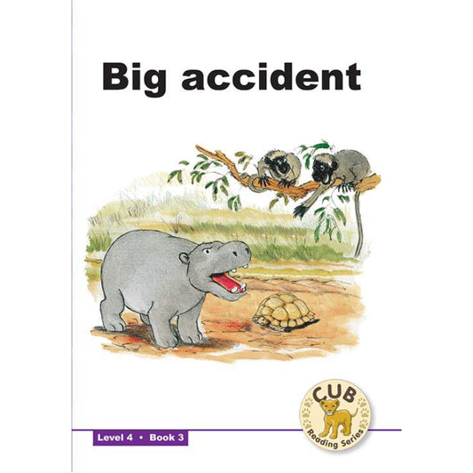 Cub Reading Level 4 Bk3 Big Accident