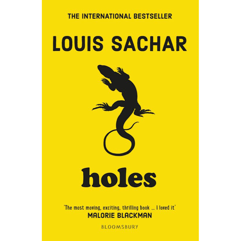 Holes By Malorie Blackman Novel