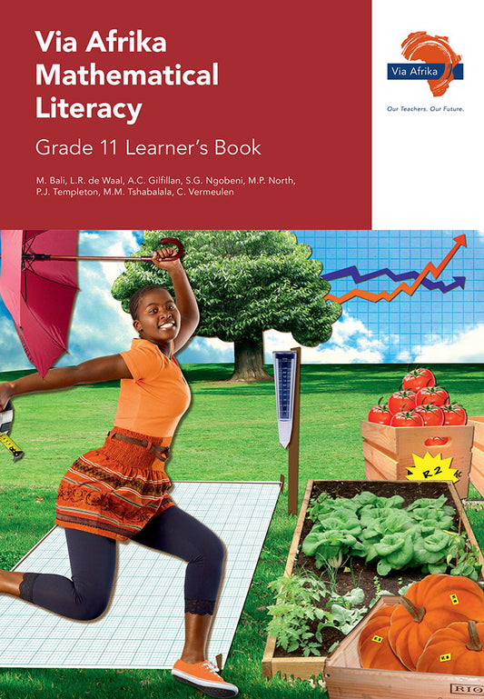 VIA AFRICA MATHS LITERACY GRADE 11 LB