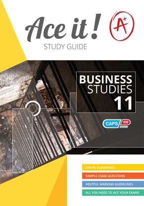 ACE IT BUSINESS STUDIES GRADE 11 SG