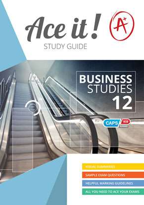 ACE IT BUSINESS STUDIES GRADE 12 SG