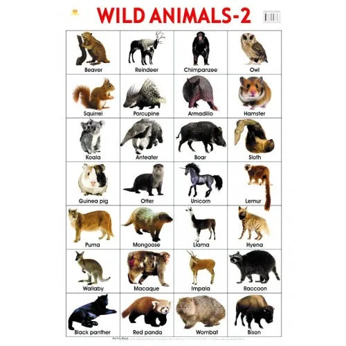 POSTER WILD ANIMALS 2